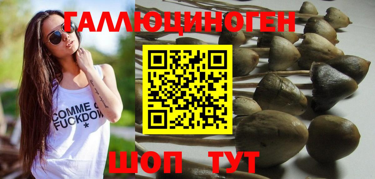 Галлюциногенные грибы Cubensis  Псилоцибиновые грибы Psilocybine cubensis  Вход с VPN  дарнет шоп  Пугачёв 