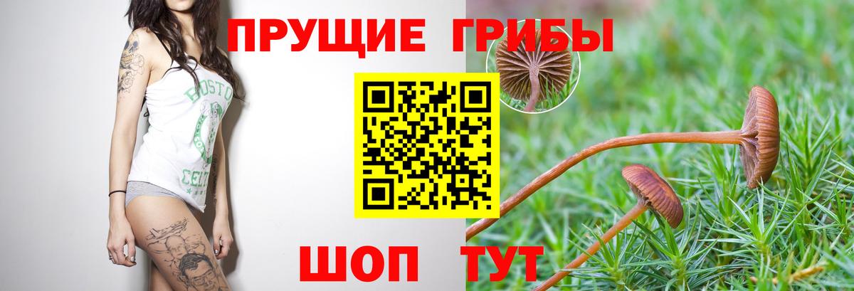 Псилоцибиновые грибы Magic Shrooms Пугачёв